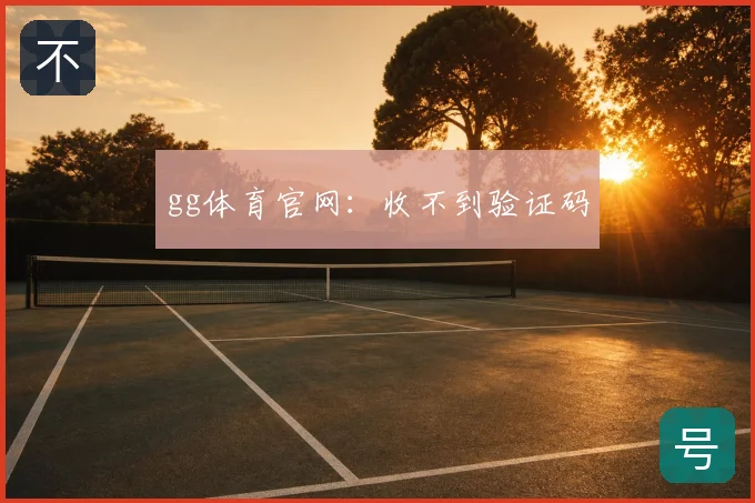gg体育官网：收不到验证码