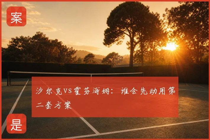 沙尔克vs霍芬海姆:谁会先动用第二套方案
